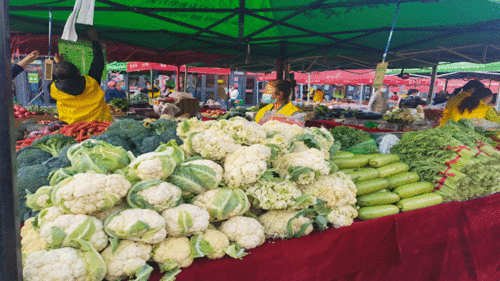 開市啦！日用百貨市場繁榮景象