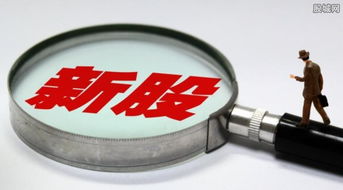 7只新股今日聯袂上市，盛天網絡領銜互聯網游戲服務板塊大漲44%遭臨停